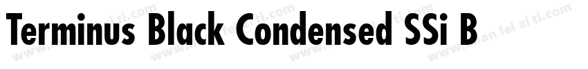 Terminus Black Condensed SSi Bold Condensed字体转换